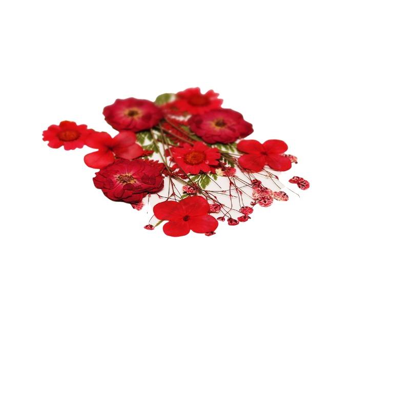ดอกไม้แห้งธรรมชาติแท้สำหรับงาน - Resin Craft Ideas บทวิจารณ์และราคา